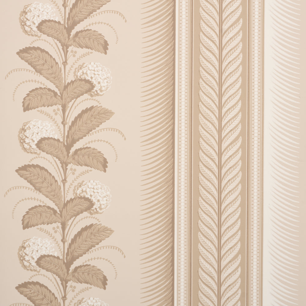 HYDRANGEA DRAPE | Fawn