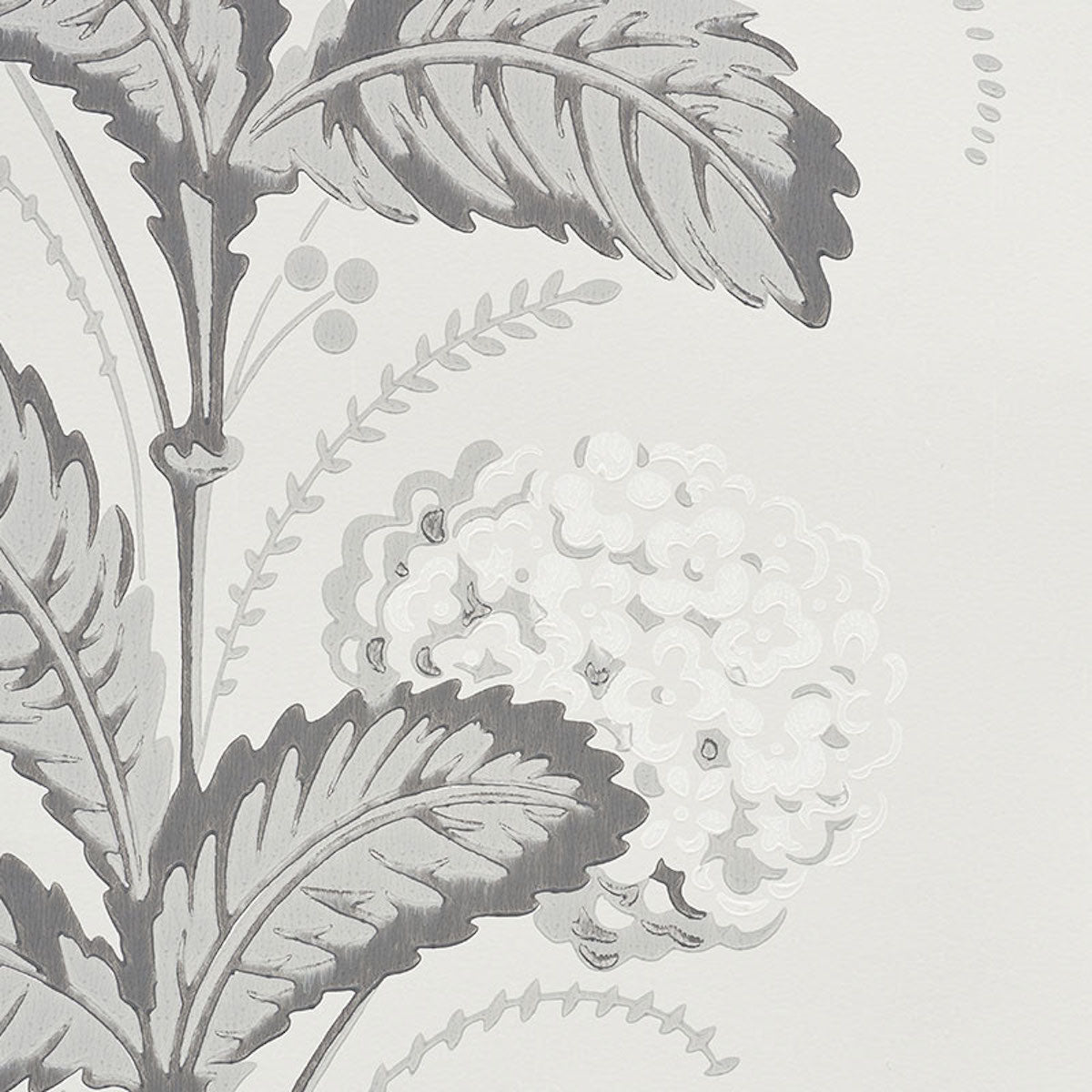 HYDRANGEA DRAPE | Grisaille