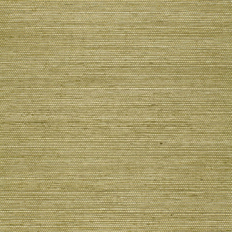 HARUKI SISAL | Olive