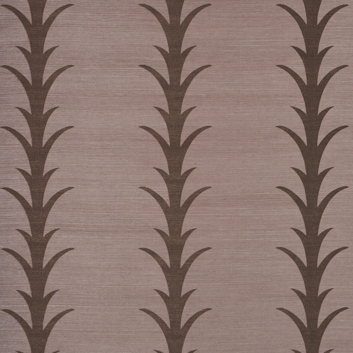 ACANTHUS STRIPE SISAL | Rose Antique