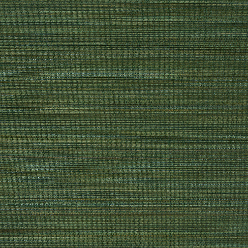 ZEN BAMBOO | Palm