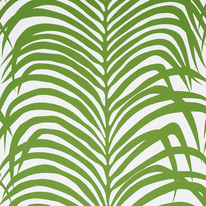 ZEBRA PALM | JUNGLE