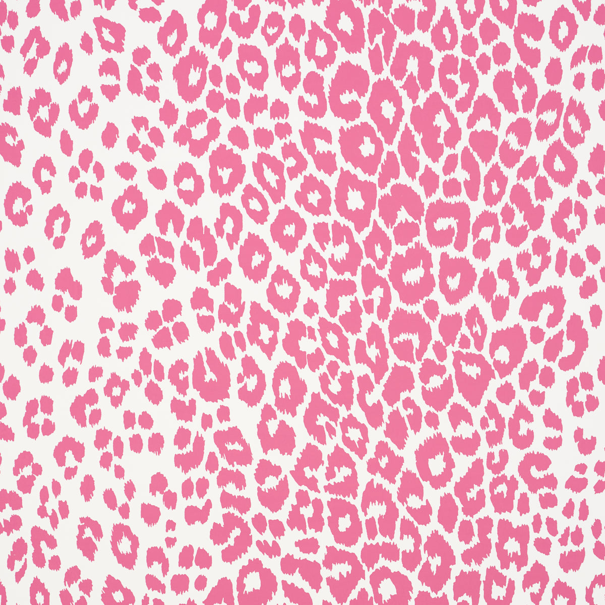 ICONIC LEOPARD | Pink