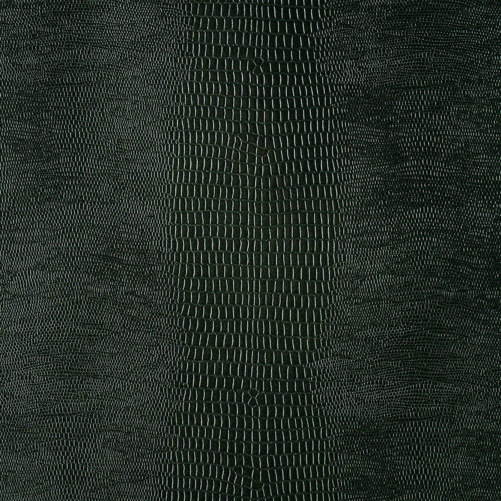 KOMODO | Forest Green