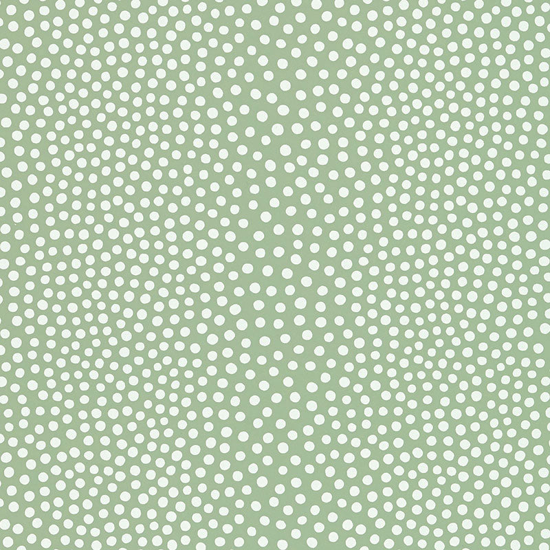 RAINDOTS | Spring