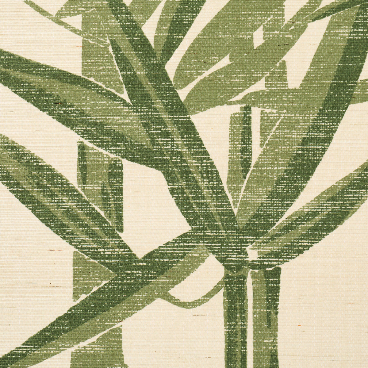 LES BAMBOUS SISAL | Green