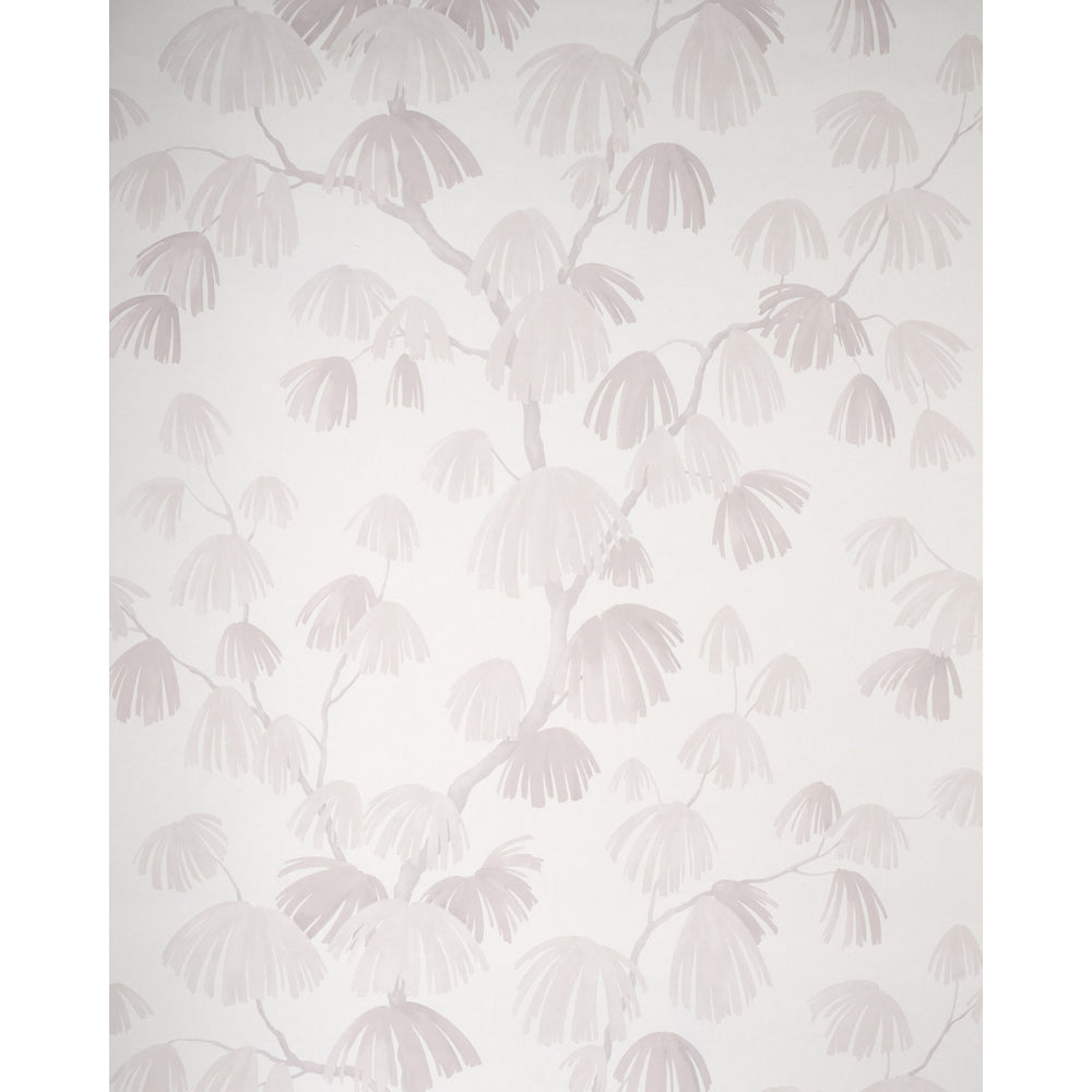 WEEPING PINE | Cloud