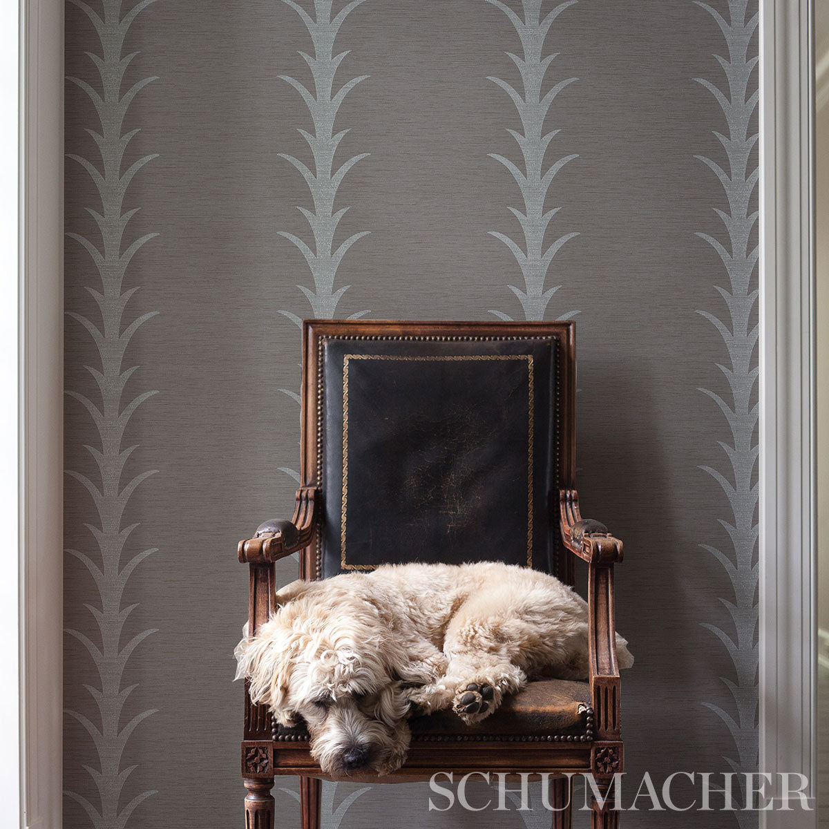 ACANTHUS STRIPE VINYL | GREY