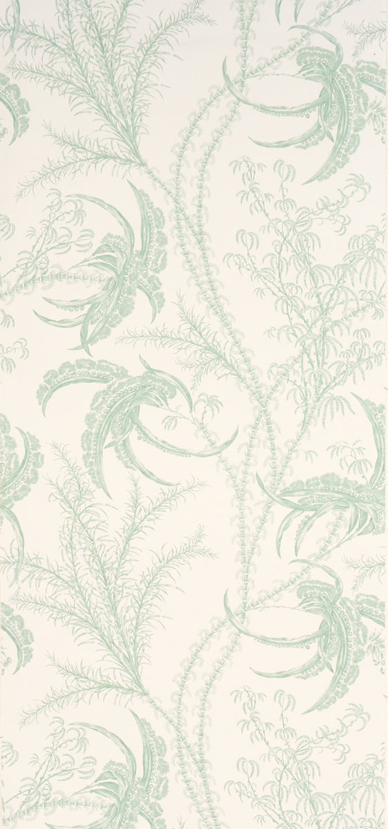 OCEAN TOILE | Eucalyptus On Linen