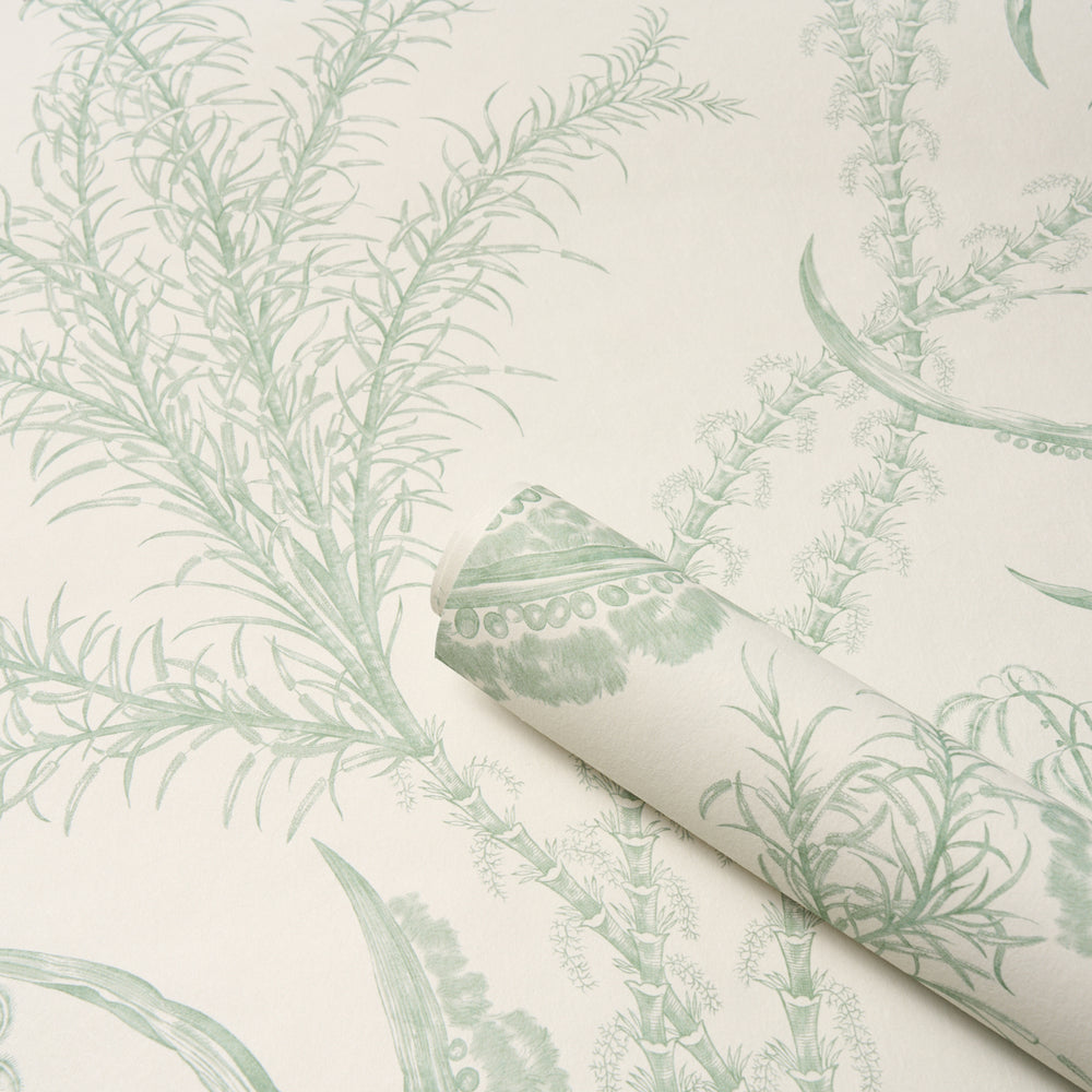 OCEAN TOILE | Eucalyptus On Linen