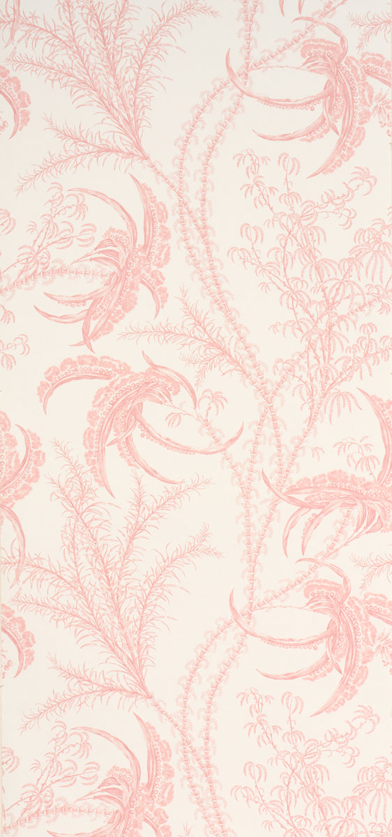 OCEAN TOILE | Coral