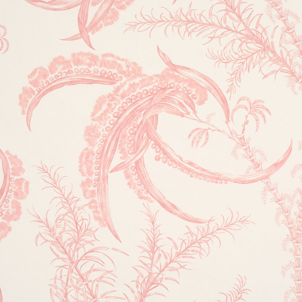 OCEAN TOILE | Coral