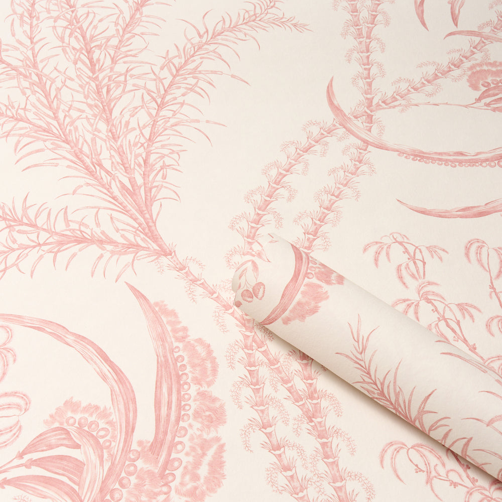 OCEAN TOILE | Coral
