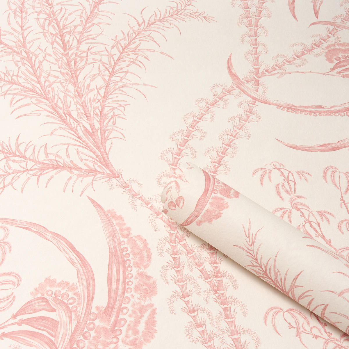 OCEAN TOILE | Coral