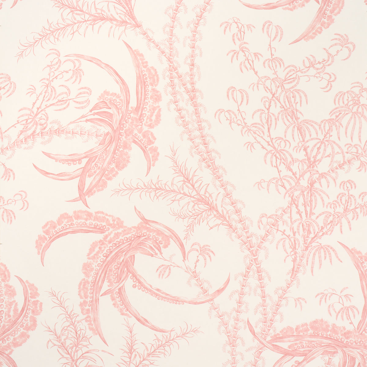 OCEAN TOILE | Coral