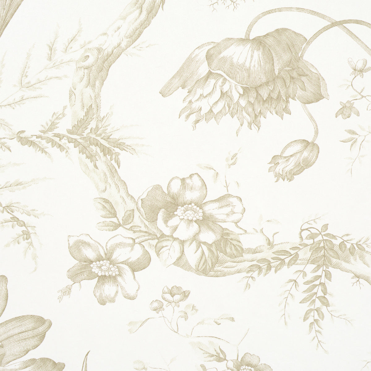 TOILE DE FLEURS | Birch