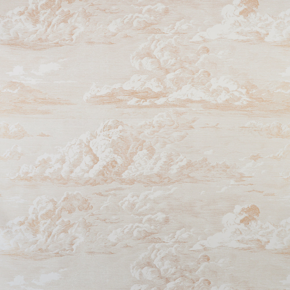 CLOUD TOILE | Gold