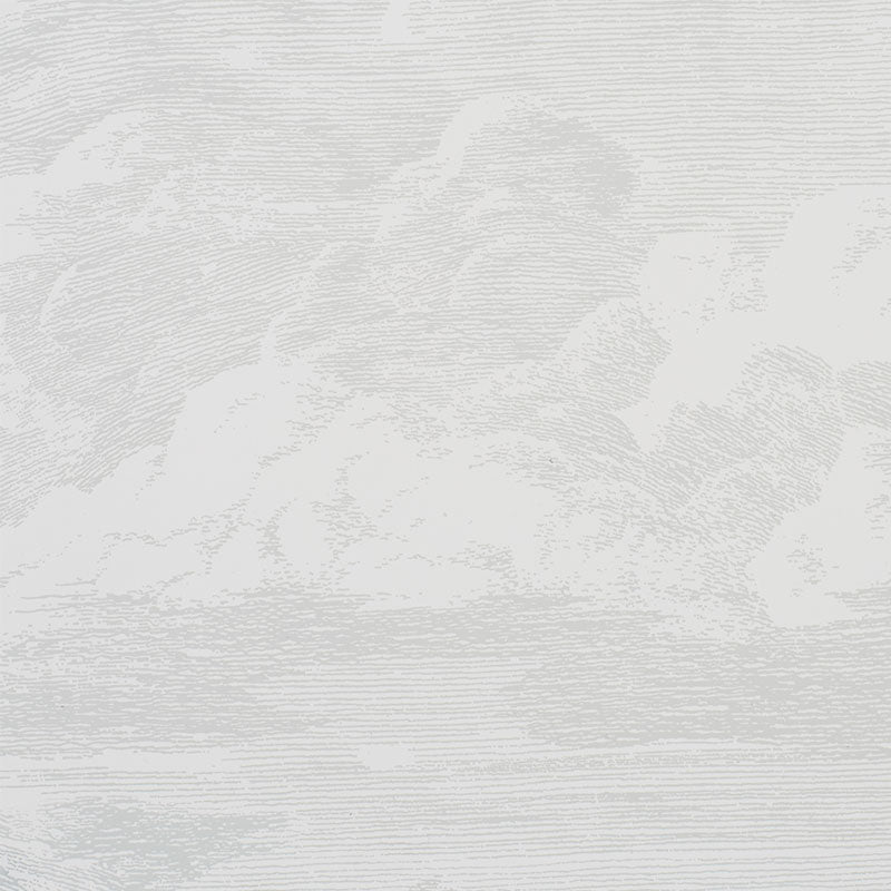 CLOUD TOILE | QUARTZ