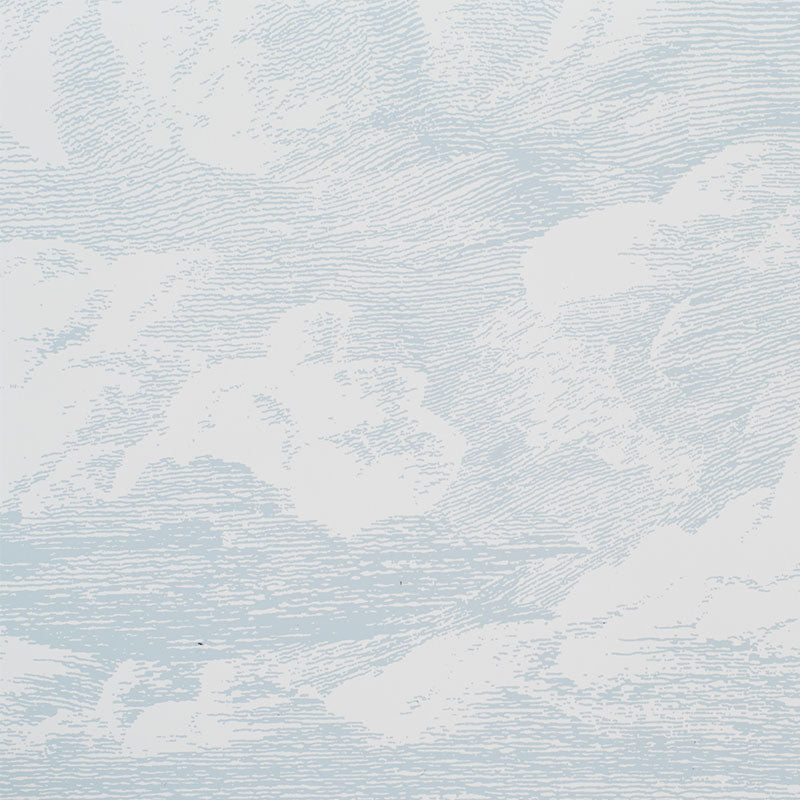 CLOUD TOILE | Mineral