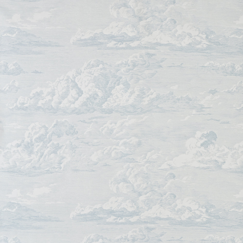 CLOUD TOILE | Mineral