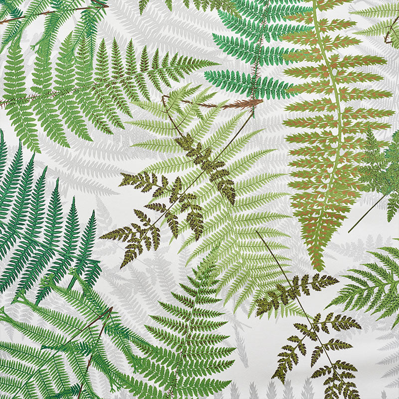 FERNARIUM | Ivory & Leaf