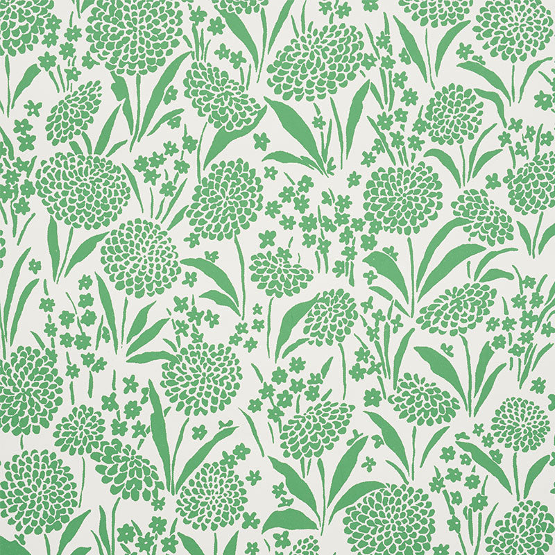 CHRYSANTHEMUM | GREEN