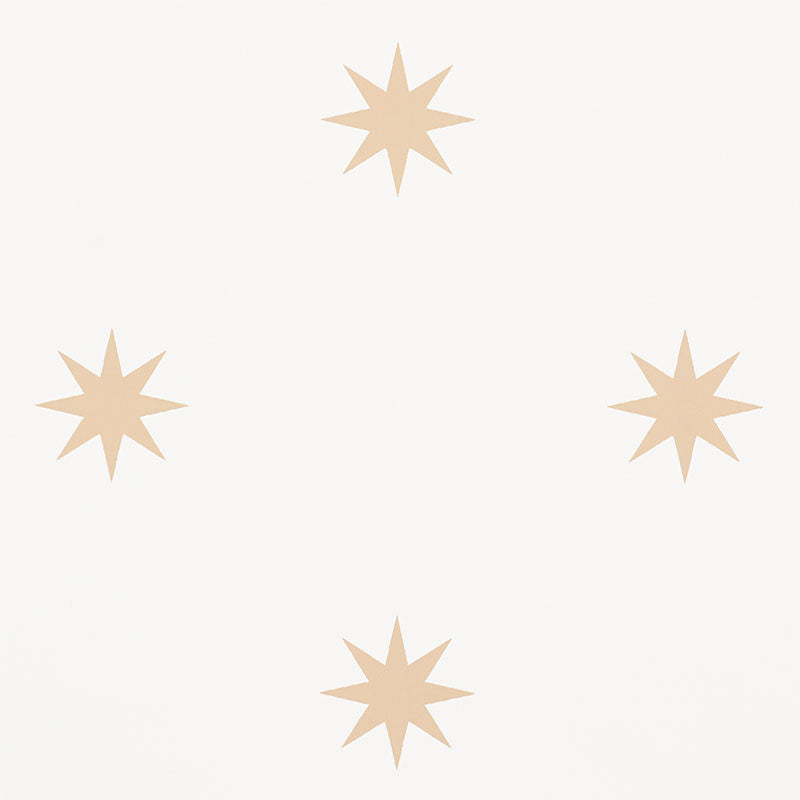 STARGAZE | Bronze