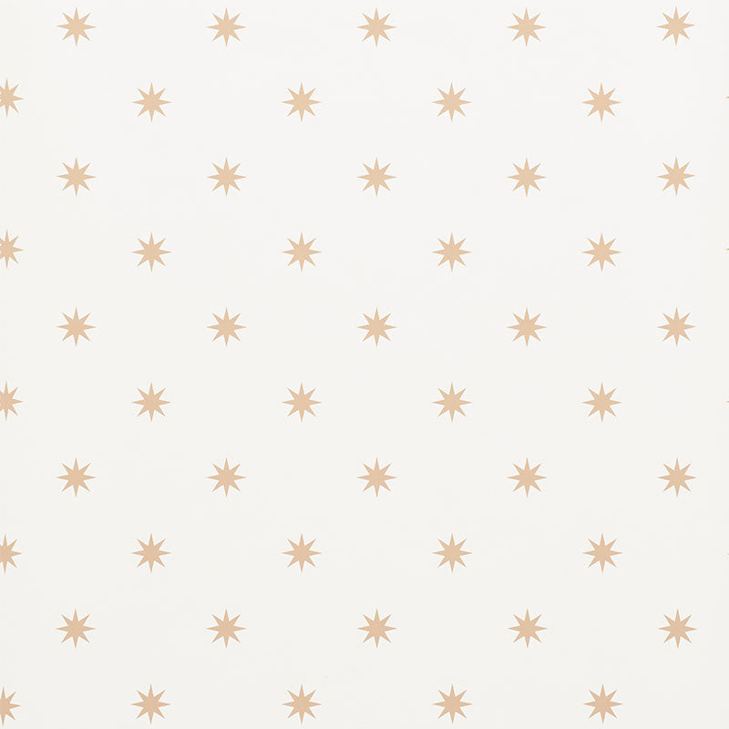 STARGAZE | Bronze