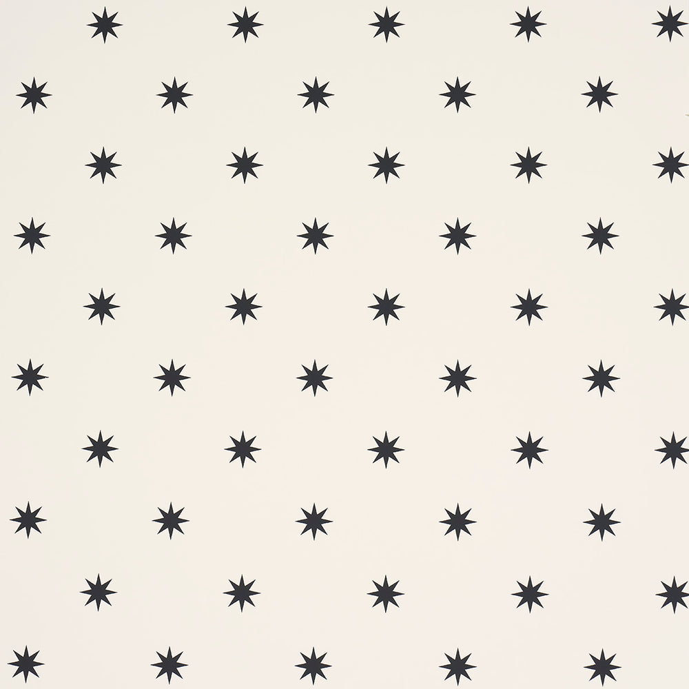 Stargaze | Black & Cream