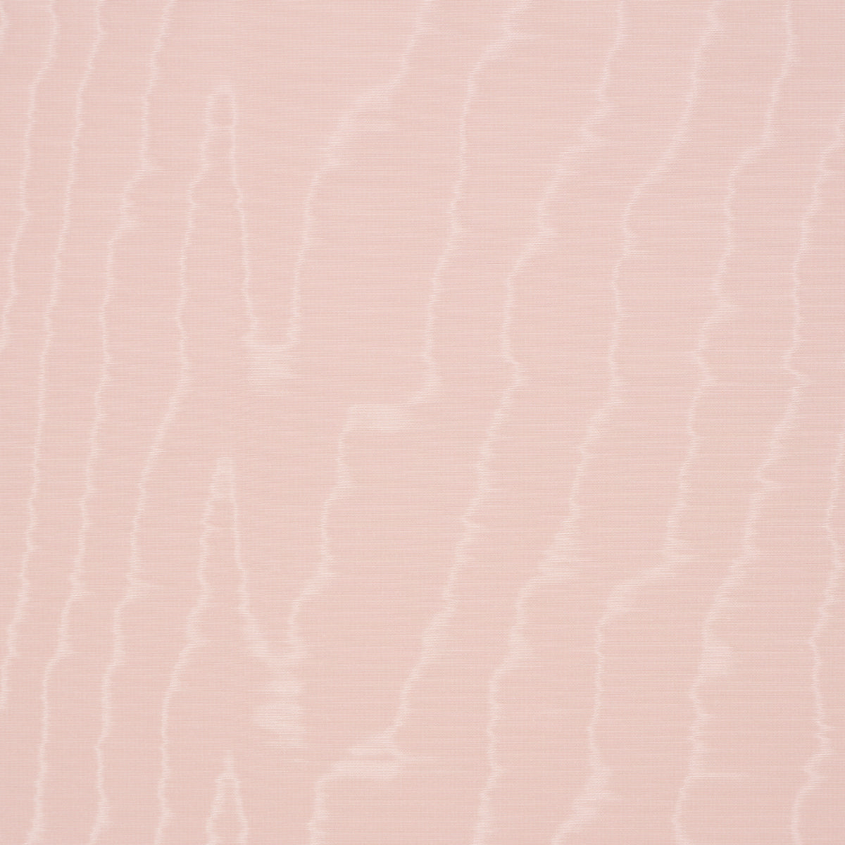 MOIRÉ WALLCOVERING | ROSE