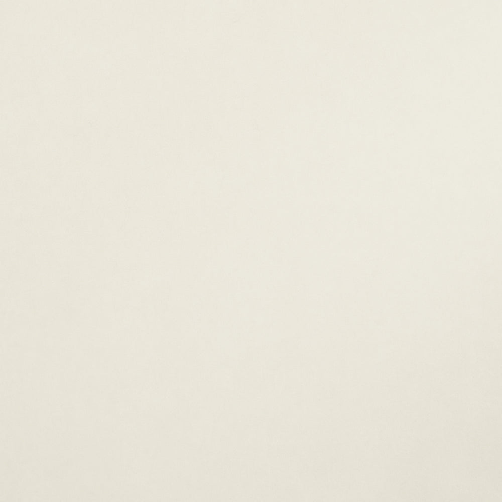 VILLA TEXTURE | White & Ivory