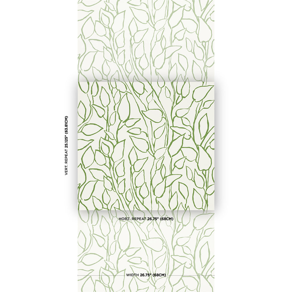 SOLANDRA VINE | Leaf