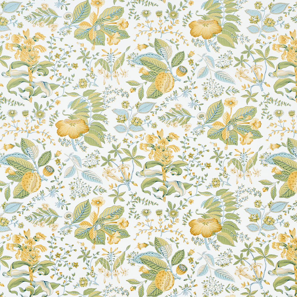 POMEGRANATE BOTANICAL | Citron