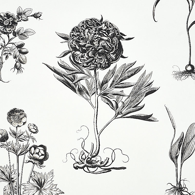 CABOT BOTANICAL LARGE | Ivory