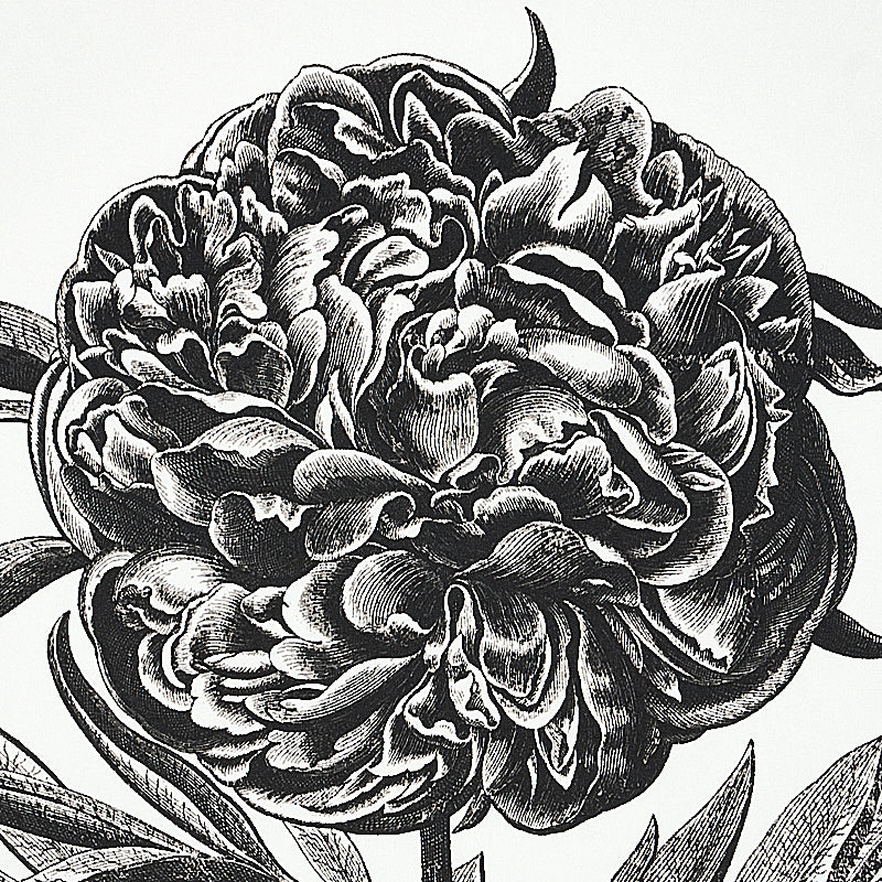 CABOT BOTANICAL LARGE | Ivory