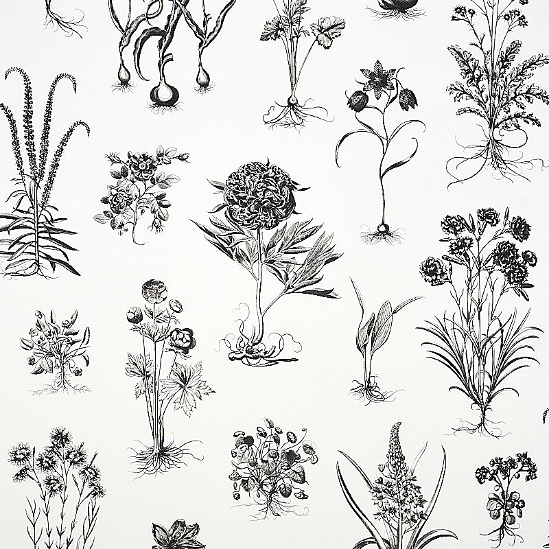 CABOT BOTANICAL LARGE | Ivory