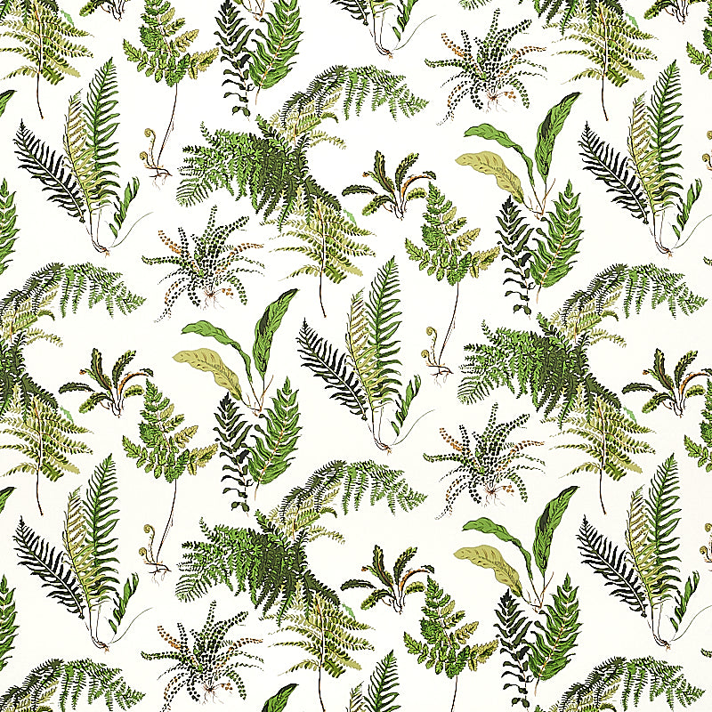 LES FOUGERES | Document