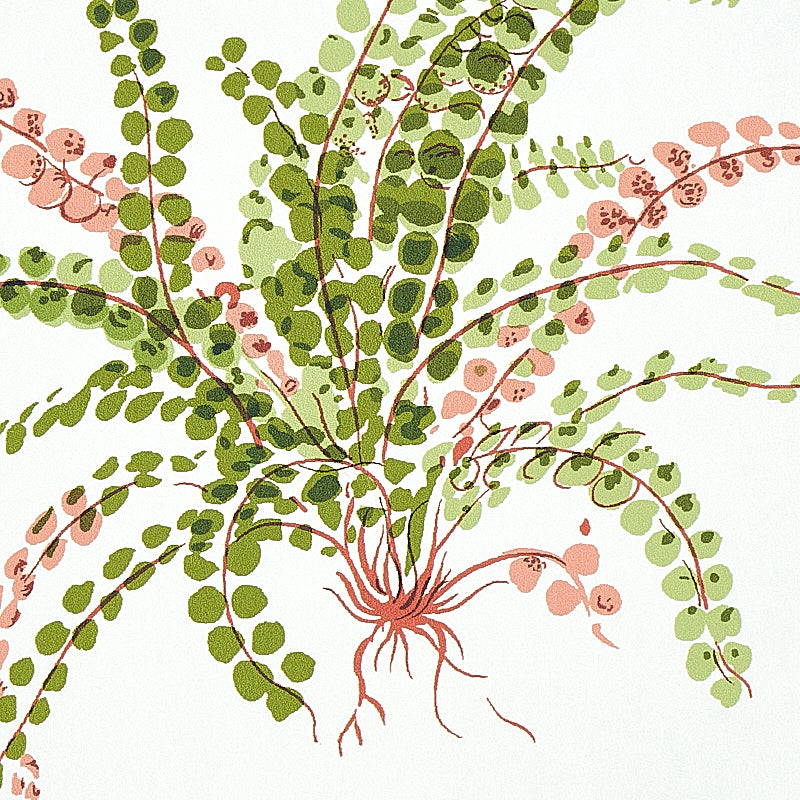 LES FOUGERES | Spring