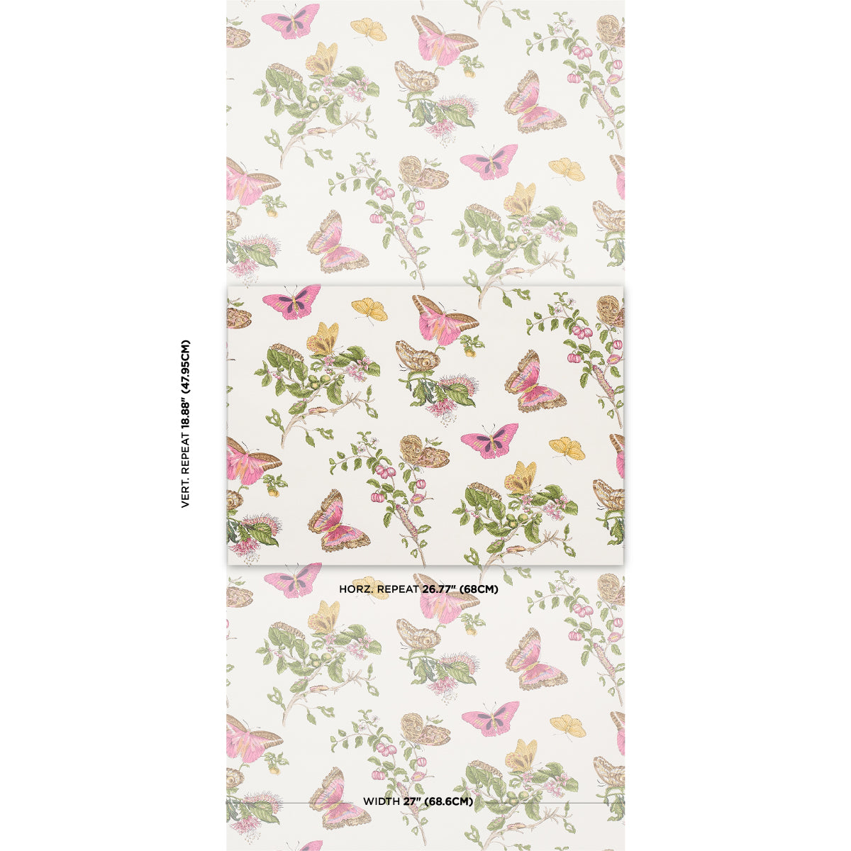 BAUDIN BUTTERFLY | Blush