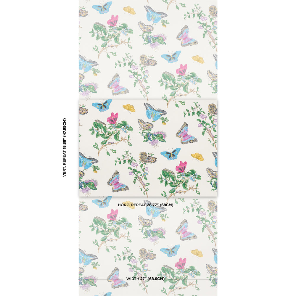 BAUDIN BUTTERFLY | Turquoise