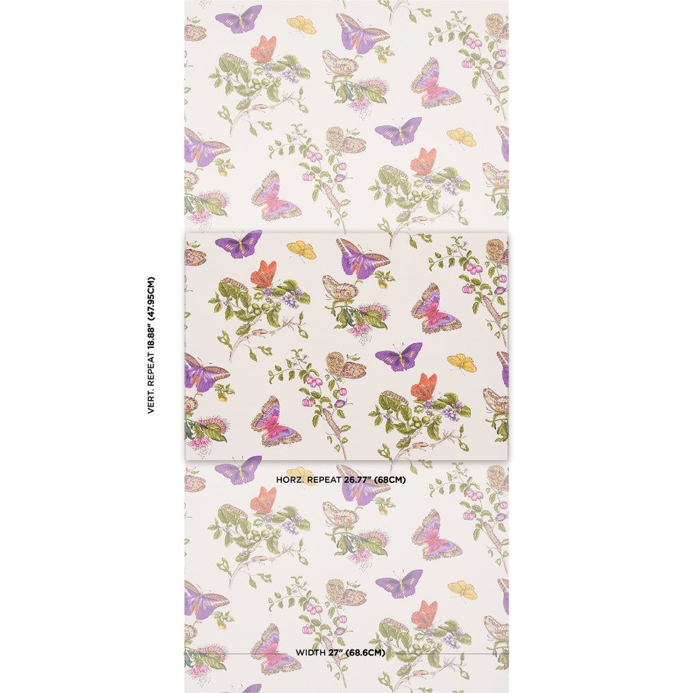 BAUDIN BUTTERFLY | Purple