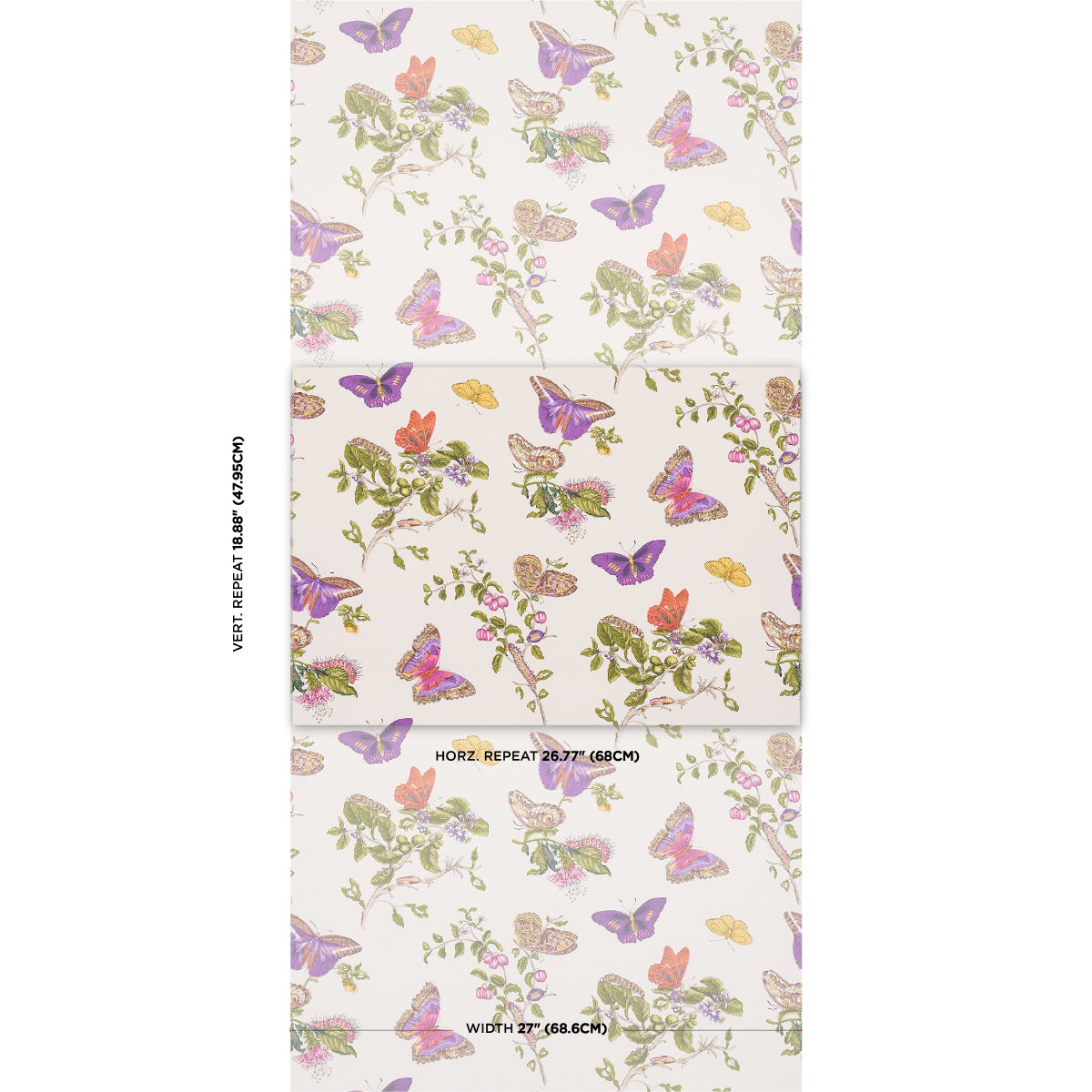 BAUDIN BUTTERFLY | Purple