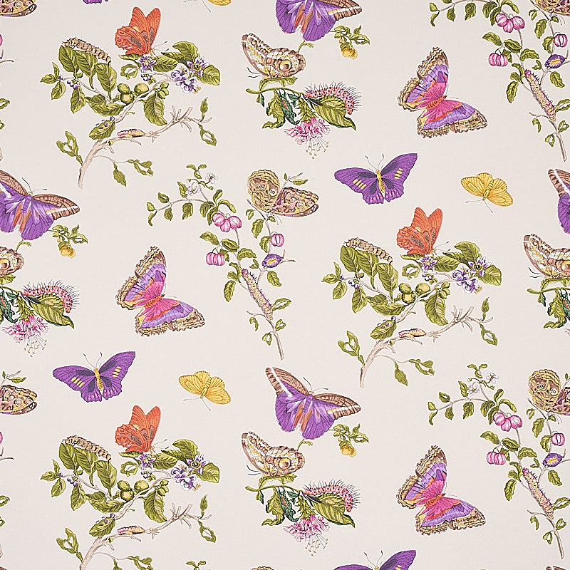 BAUDIN BUTTERFLY | PURPLE