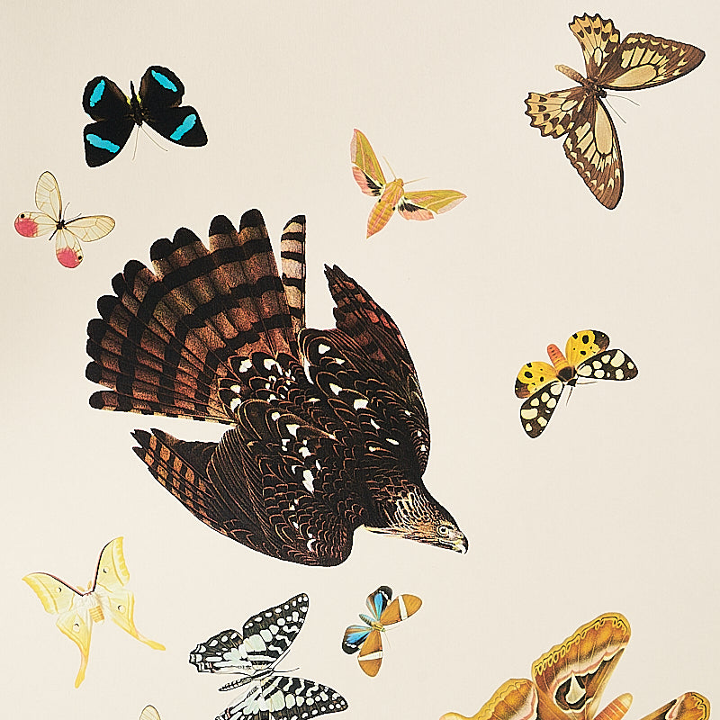 QUEEN'S FLIGHT PANEL SET | Sand