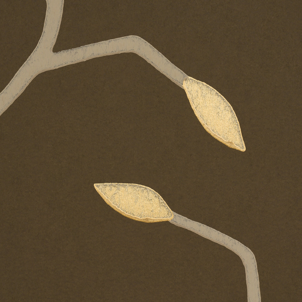 CYMBELINE | Chocolate