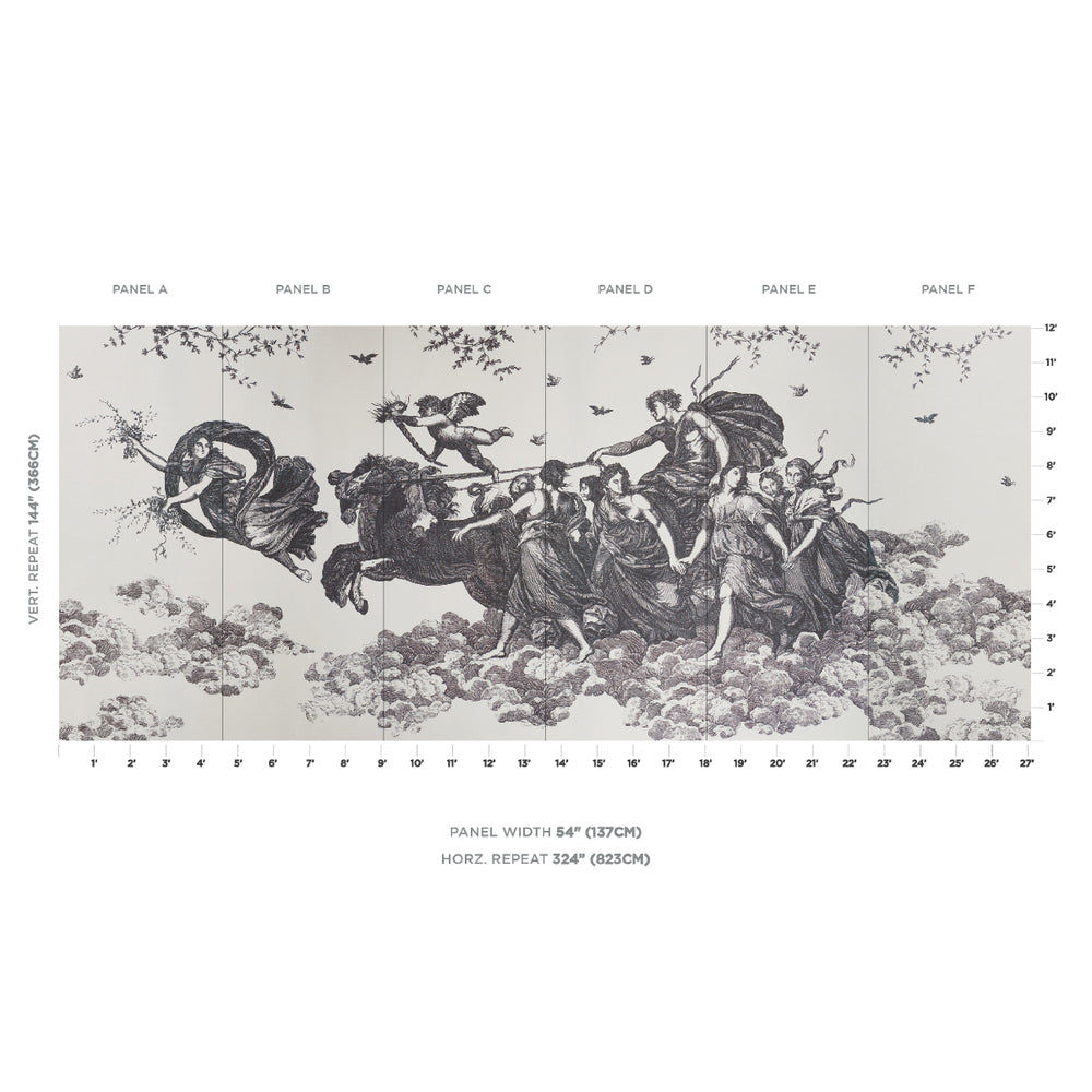 CHARIOT OF DAWN TOILE PANEL SET | Black