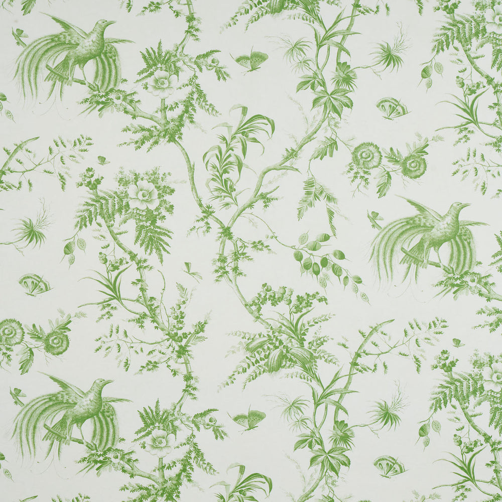 TOILE DE LA PRAIRIE | Green