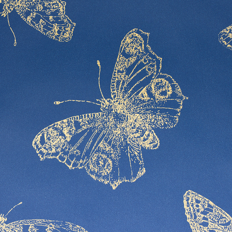 BURNELL BUTTERFLY | Blue