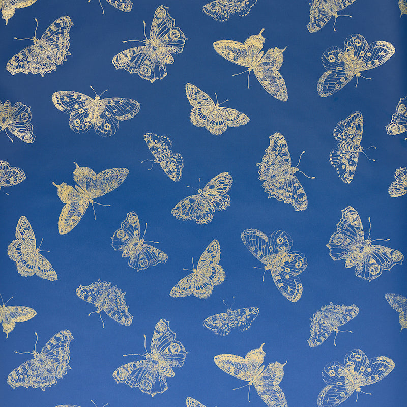 BURNELL BUTTERFLY | Blue