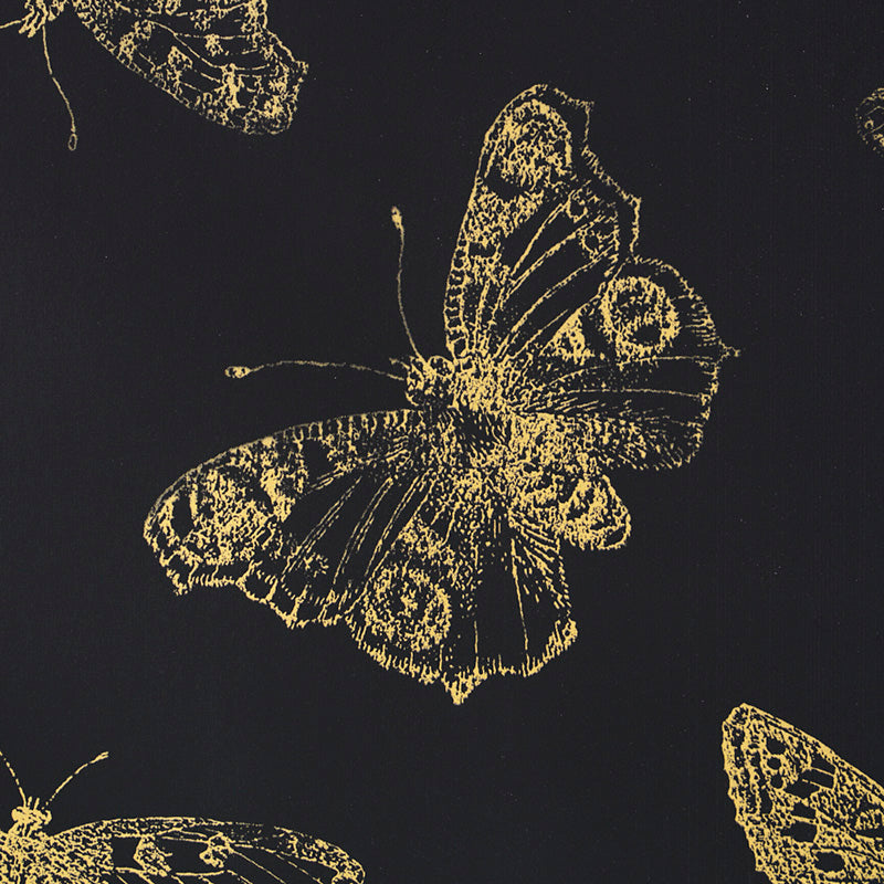 BURNELL BUTTERFLY | BLACK